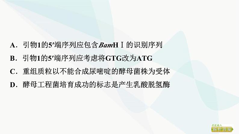 2024届人教版高考生物一轮复习大概念升华课9基因工程赋予生物新的遗传特性课件第6页