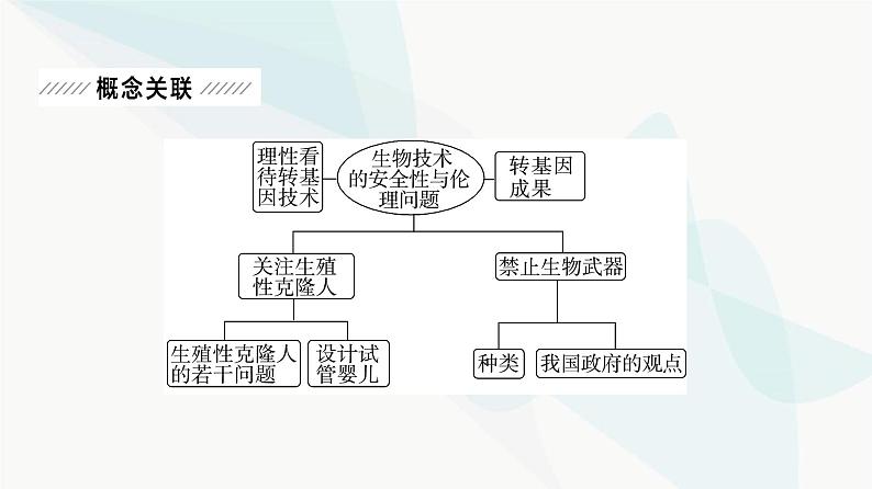 2024届人教版高考生物一轮复习大概念升华课10生物技术在造福人类社会的同时也可能会带来安全与伦理问题课件第2页