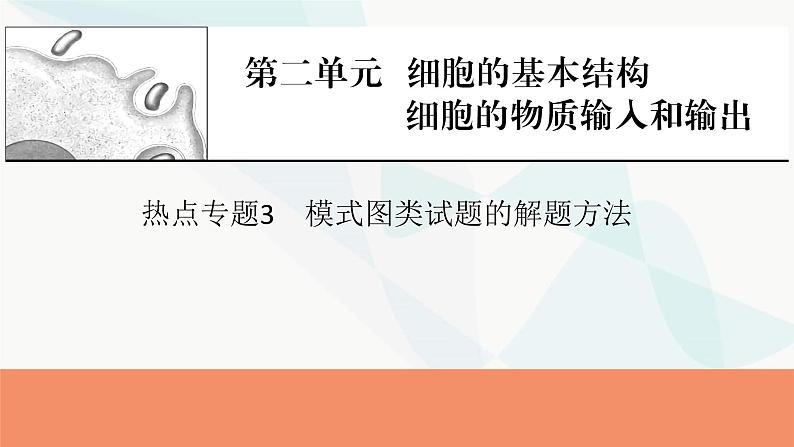 2024届人教版高考生物一轮复习热点专题3模式图类试题的解题方法课件第1页