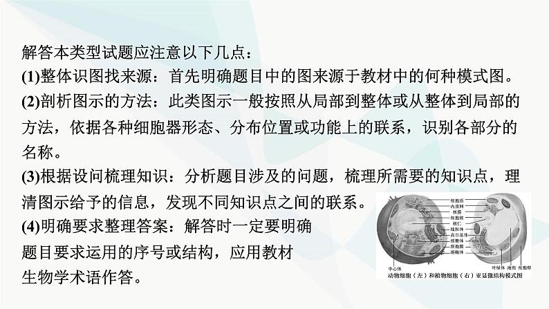 2024届人教版高考生物一轮复习热点专题3模式图类试题的解题方法课件第3页