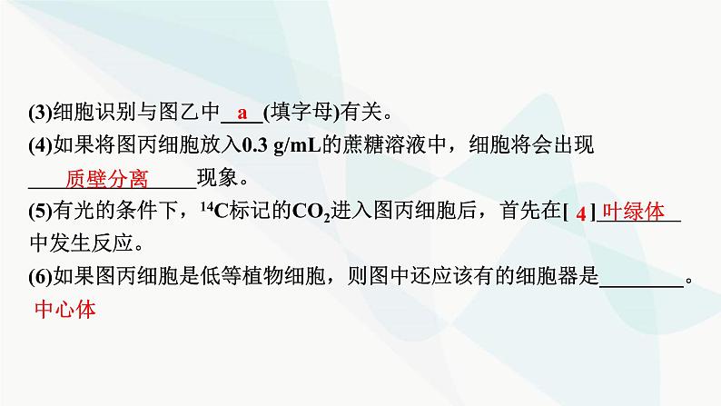 2024届人教版高考生物一轮复习热点专题3模式图类试题的解题方法课件第5页