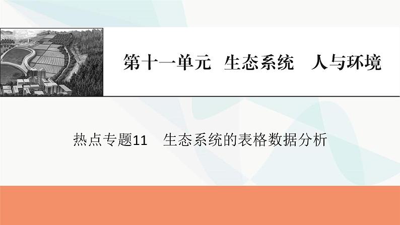 2024届人教版高考生物一轮复习热点专题11生态系统的表格数据分析课件01