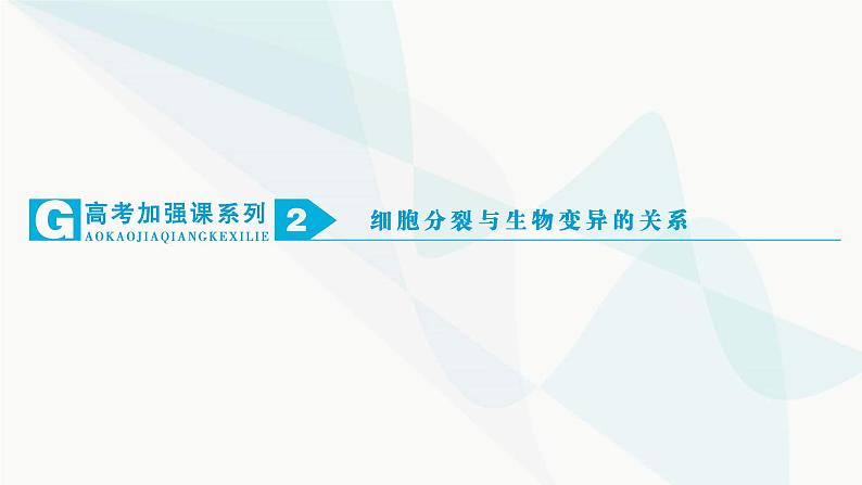 2024届人教版高考生物一轮复习加强课系列2细胞分裂与生物变异的关系课件（多项）第1页