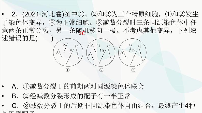 2024届人教版高考生物一轮复习加强课系列2细胞分裂与生物变异的关系课件（多项）第4页