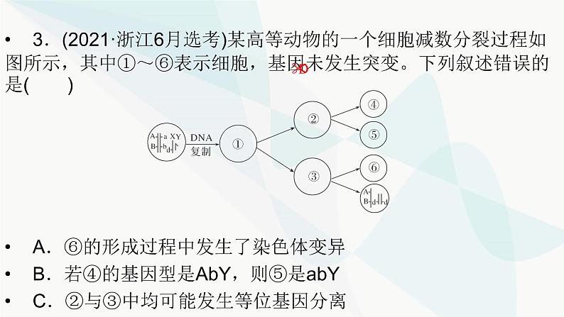 2024届人教版高考生物一轮复习加强课系列2细胞分裂与生物变异的关系课件（多项）第6页