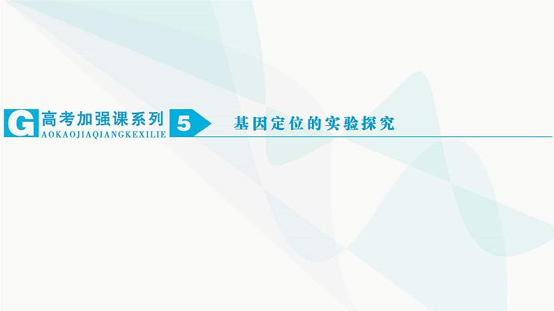 2024届人教版高考生物一轮复习加强课系列5基因定位的实验探究课件（多项）第1页