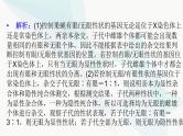 2024届人教版高考生物一轮复习加强课系列5基因定位的实验探究课件（多项）
