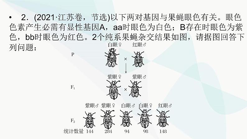 2024届人教版高考生物一轮复习加强课系列5基因定位的实验探究课件（多项）第6页