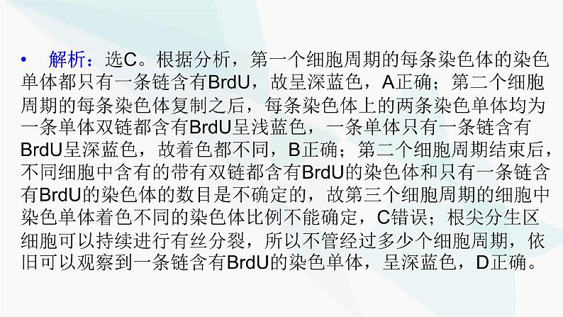 2024届人教版高考生物一轮复习加强课系列6DNA复制与细胞分裂中染色体的标记课件（多项）03