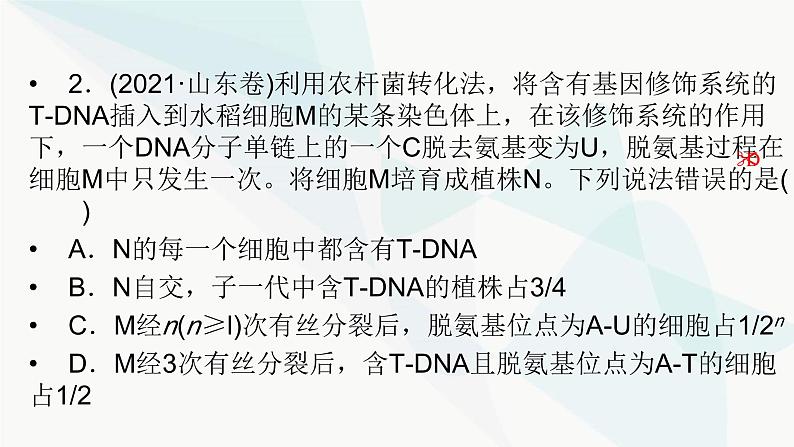 2024届人教版高考生物一轮复习加强课系列6DNA复制与细胞分裂中染色体的标记课件（多项）04