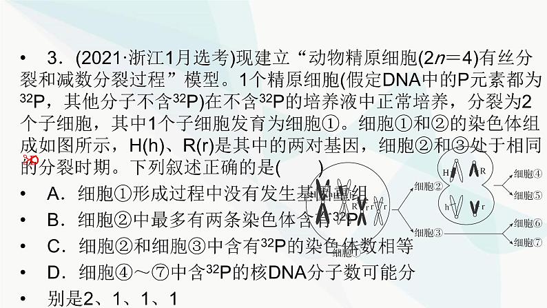 2024届人教版高考生物一轮复习加强课系列6DNA复制与细胞分裂中染色体的标记课件（多项）06