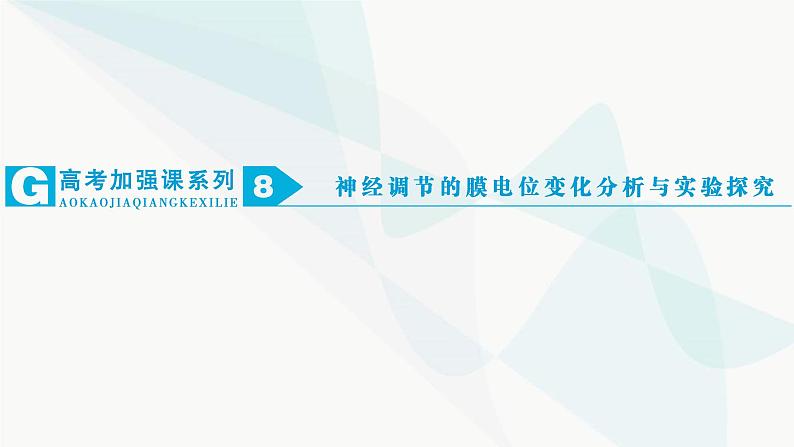 2024届人教版高考生物一轮复习加强课系列8神经调节的膜电位变化分析与实验探究课件（多项）第1页