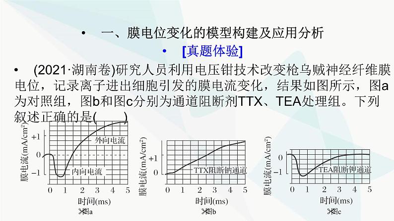 2024届人教版高考生物一轮复习加强课系列8神经调节的膜电位变化分析与实验探究课件（多项）第2页