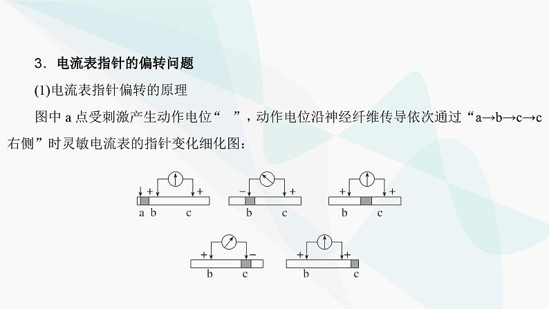 2024届人教版高考生物一轮复习加强课系列8神经调节的膜电位变化分析与实验探究课件（多项）第7页