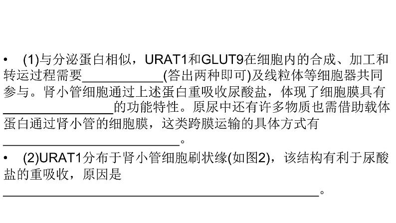 2024届人教版高考生物一轮复习思维进阶培优系列1围绕细胞结构与物质运输的新情境试题课件（多项）第6页