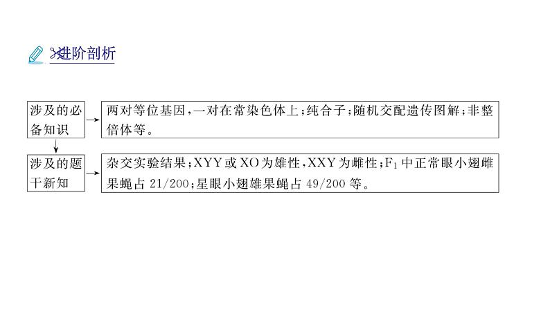 2024届人教版高考生物一轮复习思维进阶培优系列4围绕基因传递规律的新情境试题课件（多项）第5页