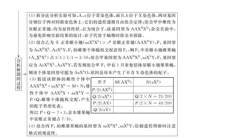 2024届人教版高考生物一轮复习思维进阶培优系列4围绕基因传递规律的新情境试题课件（多项）第6页