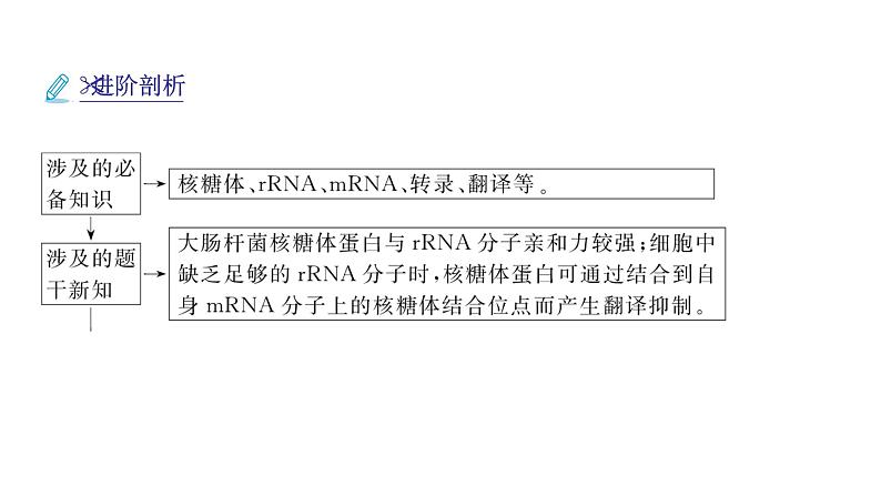 2024届人教版高考生物一轮复习思维进阶培优系列5围绕基因表达的新情境试题课件（多项）第3页