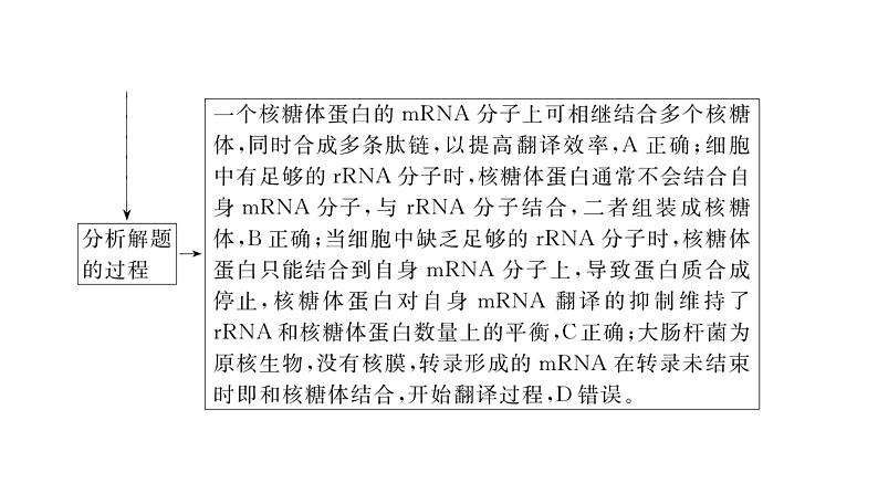 2024届人教版高考生物一轮复习思维进阶培优系列5围绕基因表达的新情境试题课件（多项）第4页