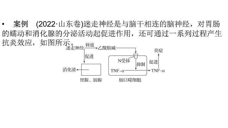 2024届人教版高考生物一轮复习思维进阶培优系列6围绕生命活动调节的新情境试题课件（多项）第2页