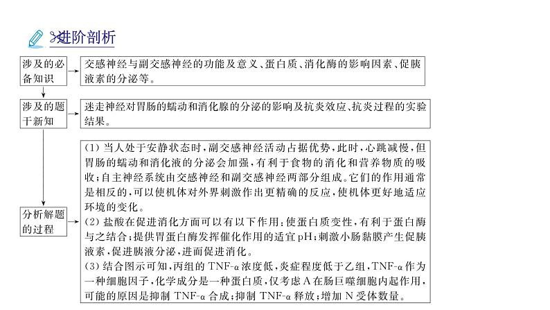 2024届人教版高考生物一轮复习思维进阶培优系列6围绕生命活动调节的新情境试题课件（多项）第5页