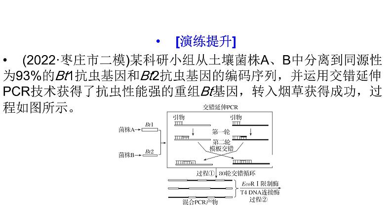 2024届人教版高考生物一轮复习思维进阶培优系列8围绕生物技术与工程的新情境试题课件（多项）第7页