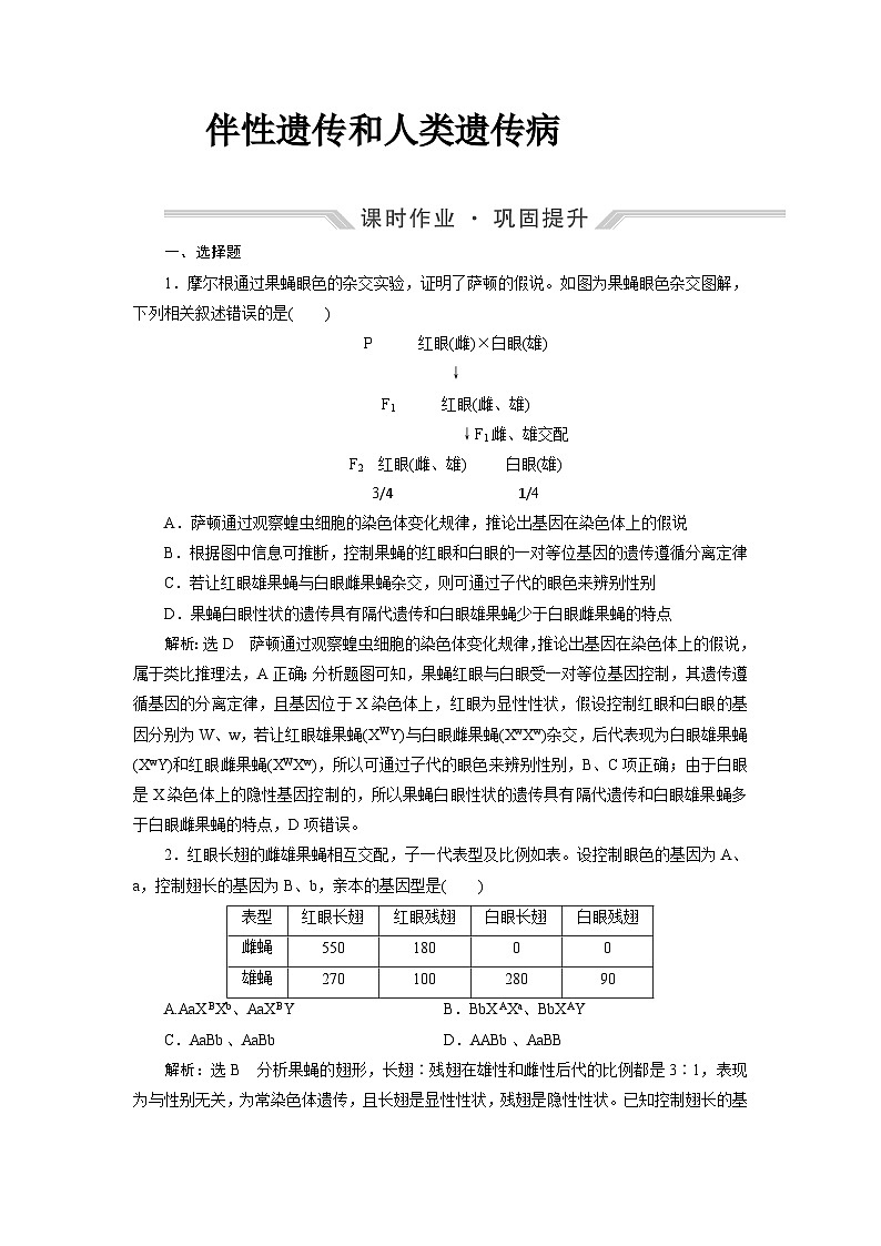 2024届人教版高考生物一轮复习伴性遗传和人类遗传病作业（单项版）含答案01