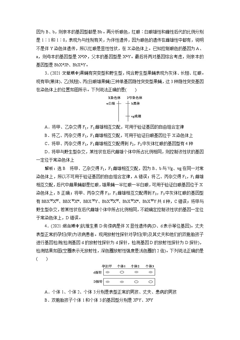 2024届人教版高考生物一轮复习伴性遗传和人类遗传病作业（单项版）含答案02