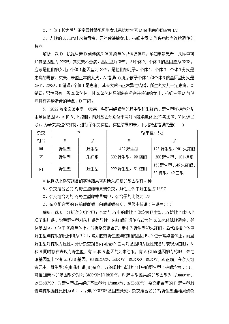 2024届人教版高考生物一轮复习伴性遗传和人类遗传病作业（单项版）含答案03