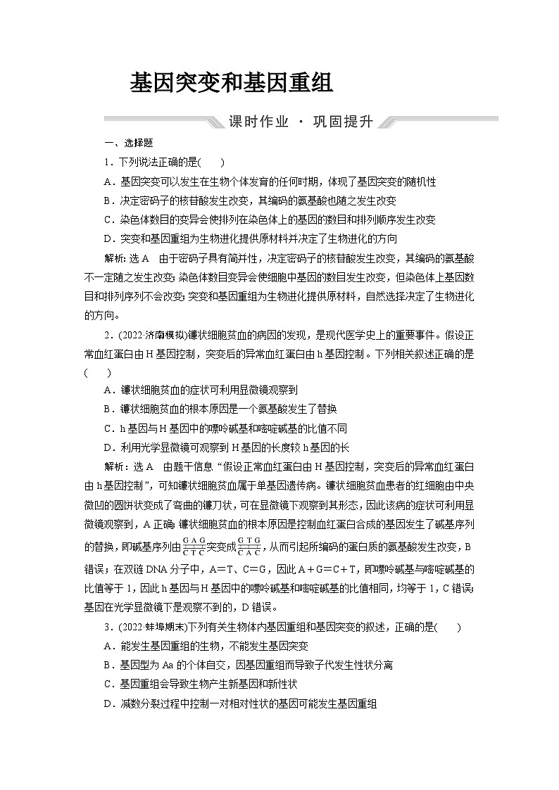 2024届人教版高考生物一轮复习基因突变和基因重组作业（单项版）含答案01