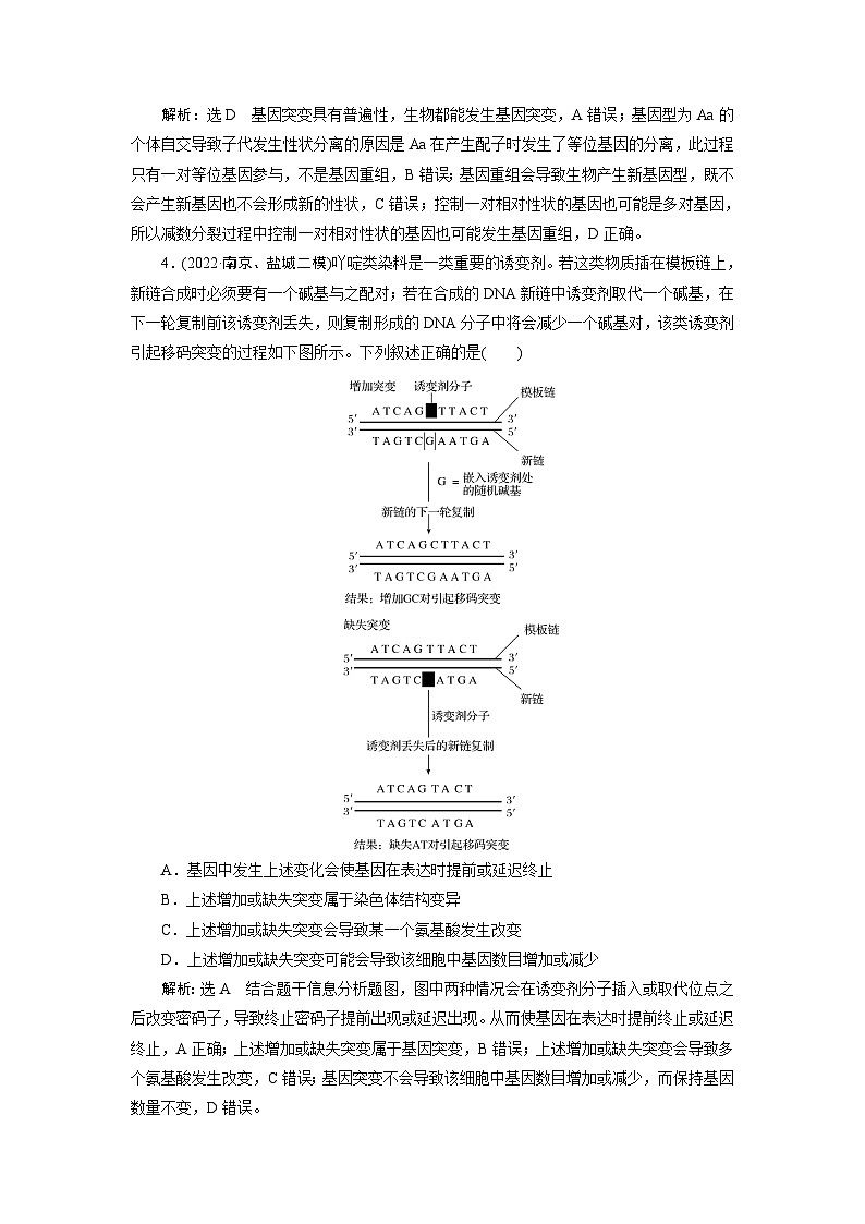 2024届人教版高考生物一轮复习基因突变和基因重组作业（单项版）含答案02