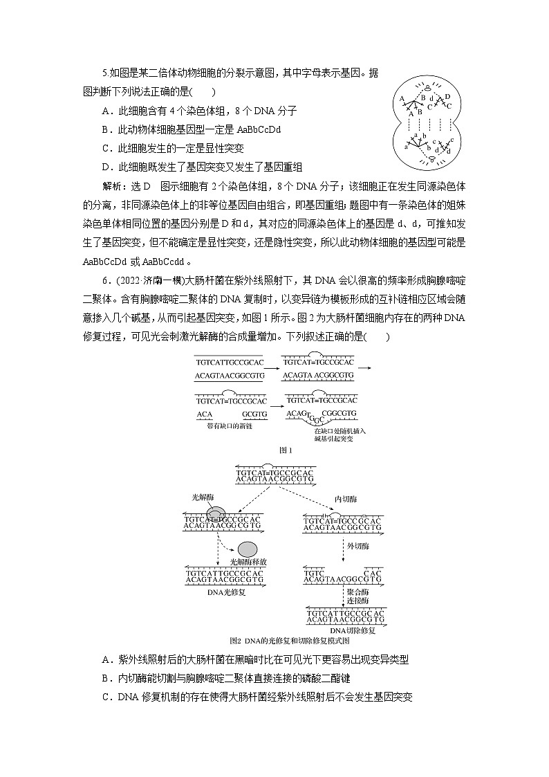 2024届人教版高考生物一轮复习基因突变和基因重组作业（单项版）含答案03