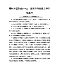 2024届人教版高考生物一轮复习基因在染色体上和伴性遗传作业（单项版）含答案