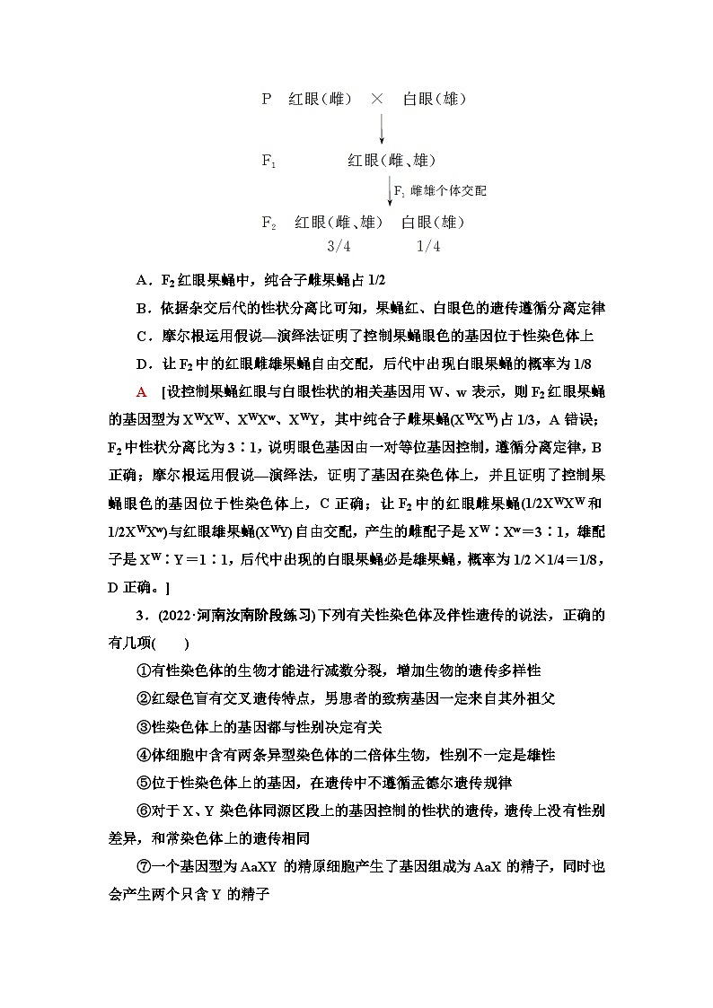 2024届人教版高考生物一轮复习基因在染色体上和伴性遗传作业（单项版）含答案第2页