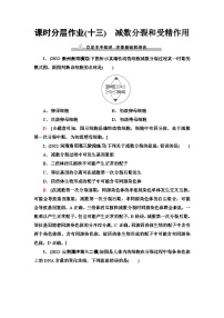 2024届人教版高考生物一轮复习 减数分裂和受精作用作业（单项版）含答案