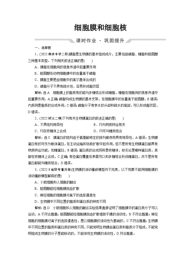 2024届人教版高考生物一轮复习 细胞膜和细胞核  作业（单项版）含答案01