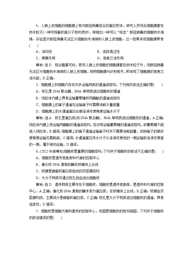 2024届人教版高考生物一轮复习 细胞膜和细胞核  作业（单项版）含答案02