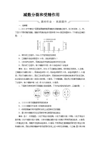 2024届人教版高考生物一轮复习减数分裂和受精作用作业（单项版）含答案