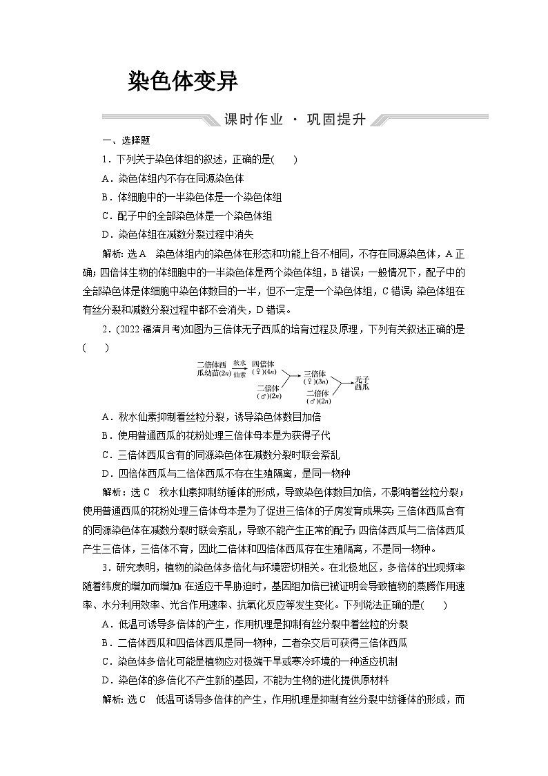 2024届人教版高考生物一轮复习染色体变异作业（单项版）含答案第1页