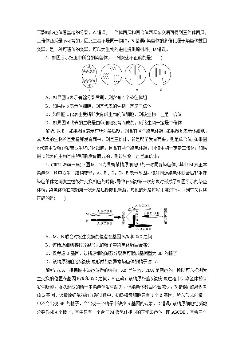 2024届人教版高考生物一轮复习染色体变异作业（单项版）含答案第2页