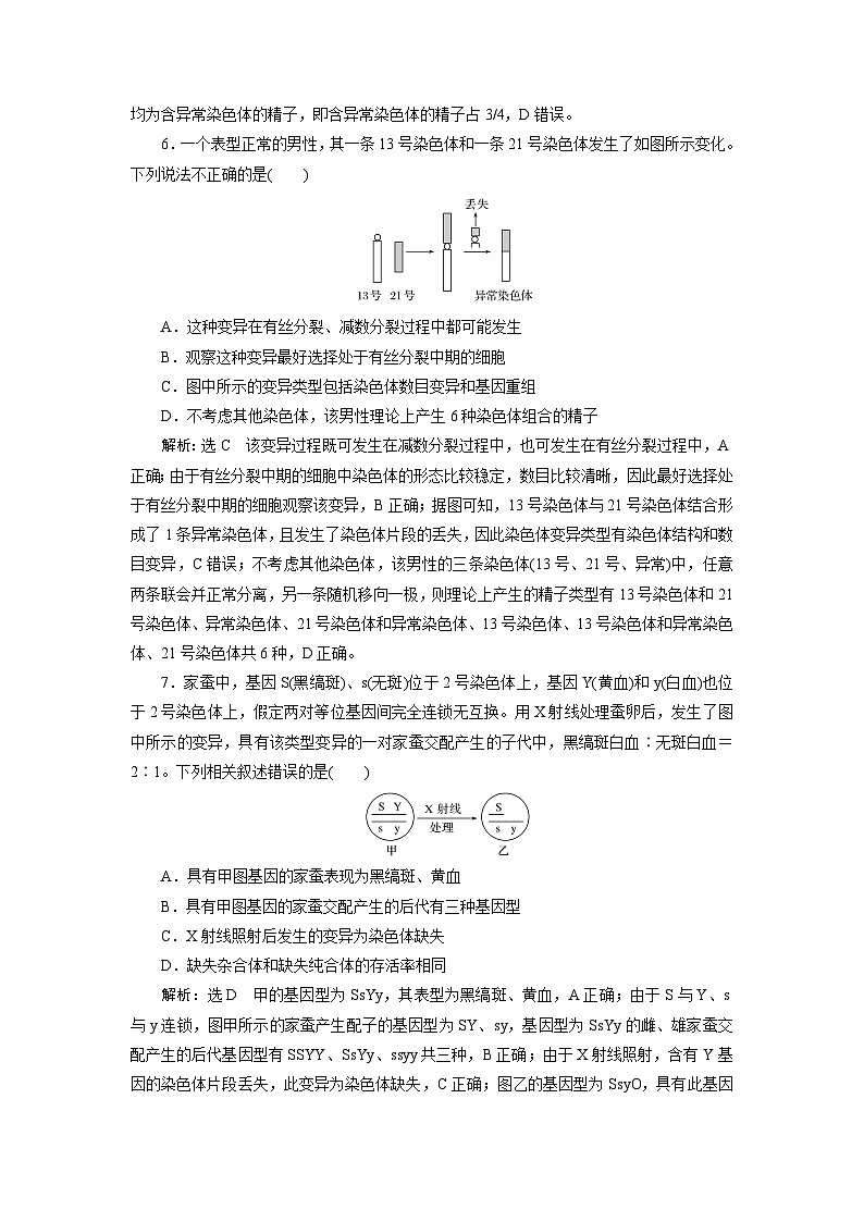 2024届人教版高考生物一轮复习染色体变异作业（单项版）含答案第3页