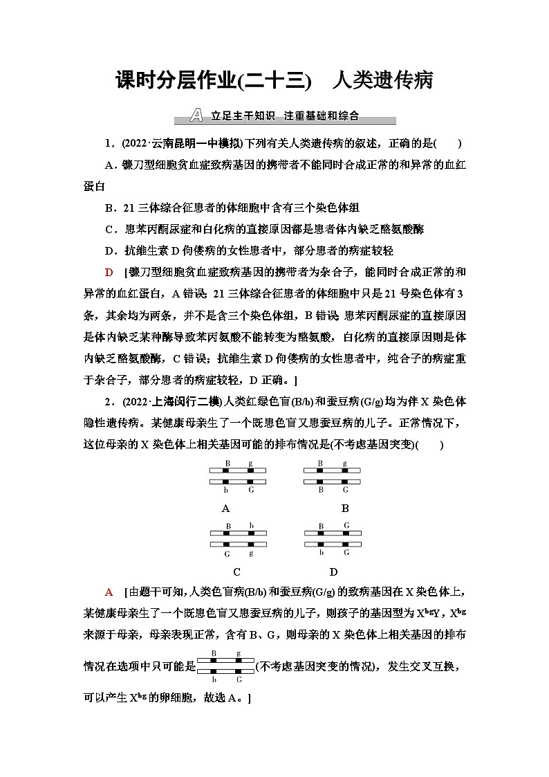 2024届人教版高考生物一轮复习人类遗传病作业（单项版）含答案第1页