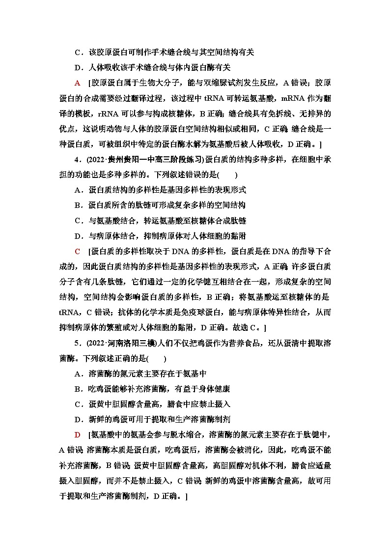 2024届人教版高考生物一轮复习生命活动的主要承担者——蛋白质作业（单项版）含答案02