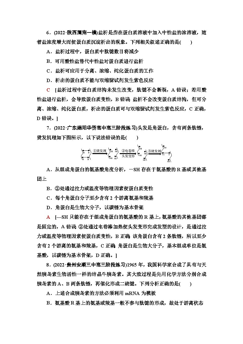 2024届人教版高考生物一轮复习生命活动的主要承担者——蛋白质作业（单项版）含答案03