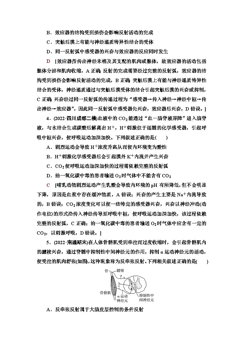 2024届人教版高考生物一轮复习通过神经系统的调节作业（单项版）含答案第2页