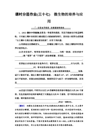 2024届人教版高考生物一轮复习微生物的培养与应用作业（单项版）含答案