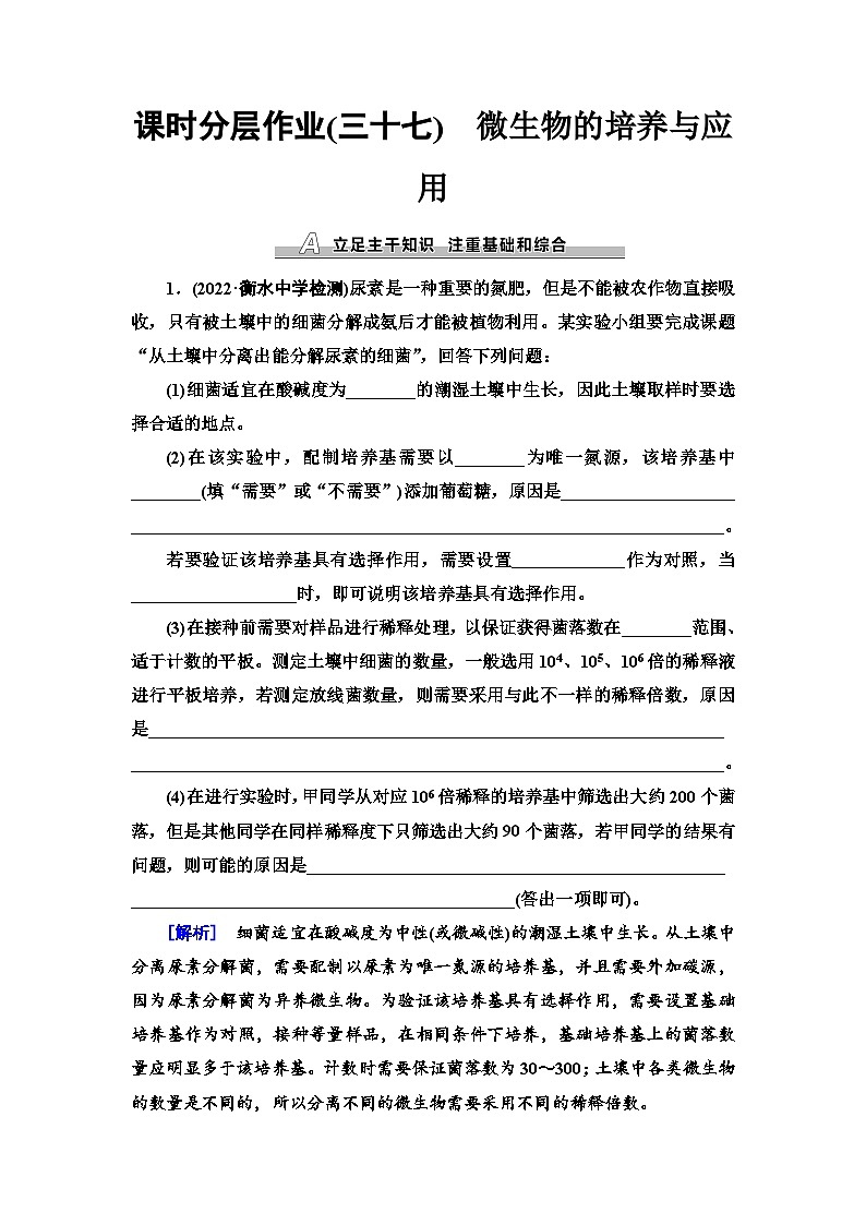 2024届人教版高考生物一轮复习微生物的培养与应用作业（单项版）含答案01