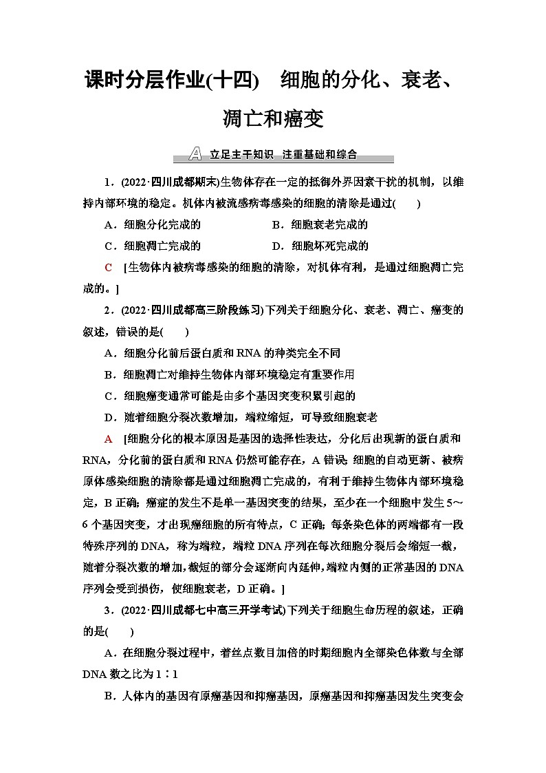 2024届人教版高考生物一轮复习细胞的分化、衰老、凋亡和癌变作业（单项版）含答案第1页