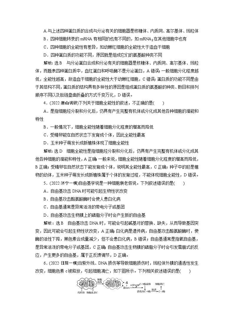 2024届人教版高考生物一轮复习细胞的分化、衰老和死亡作业（单项版）含答案第2页