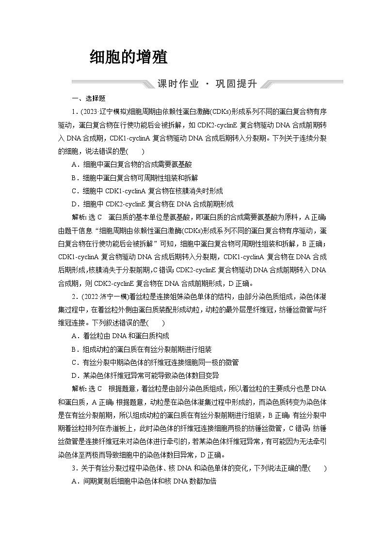 2024届人教版高考生物一轮复习细胞的增殖作业（单项版）含答案第1页